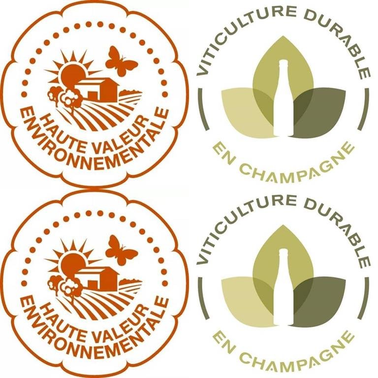 LEGUILLETTE ROMELOT Champagne-Oenotourisme - CHARLY SUR MARNE