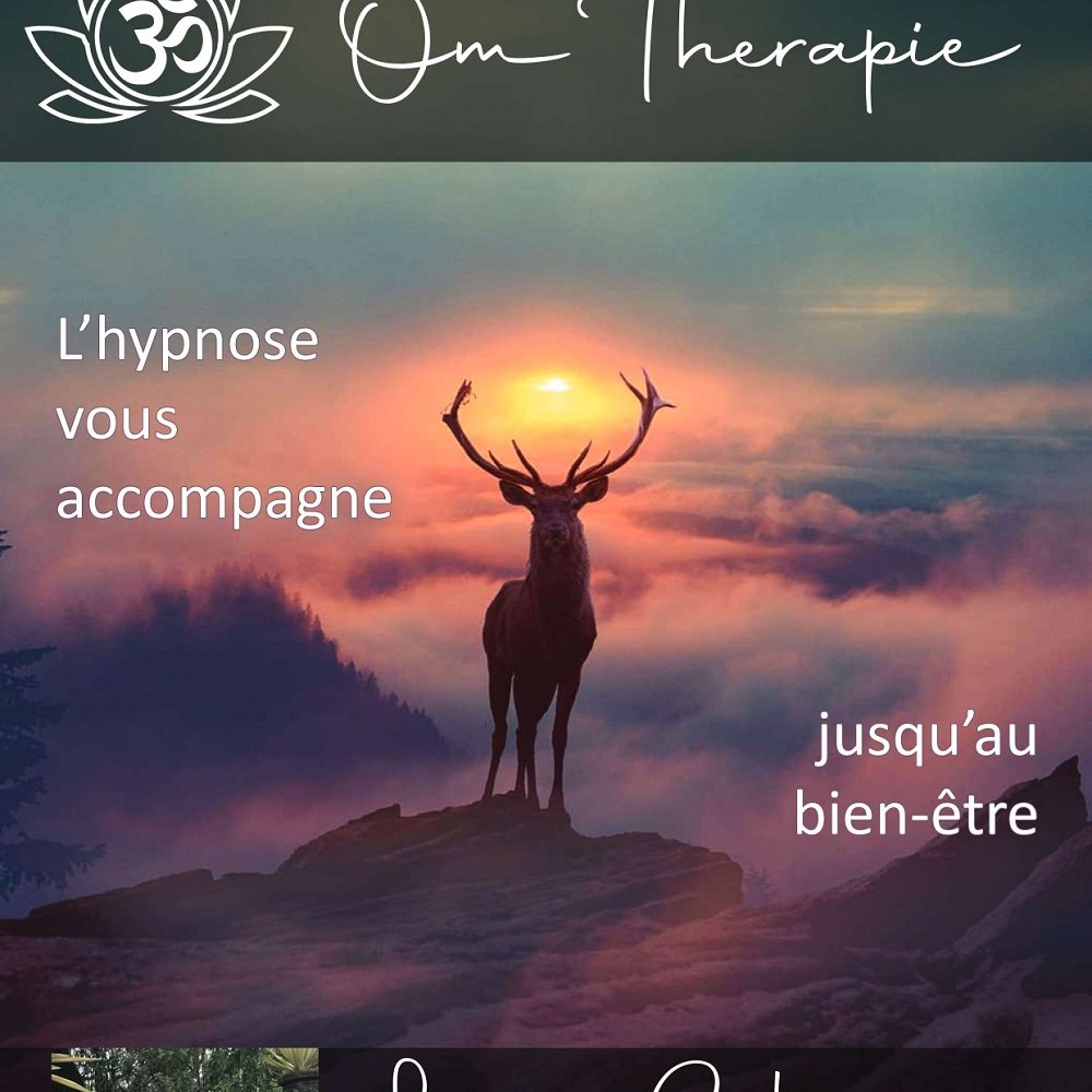 OM THERAPIE - VILLIERS SAINT DENIS